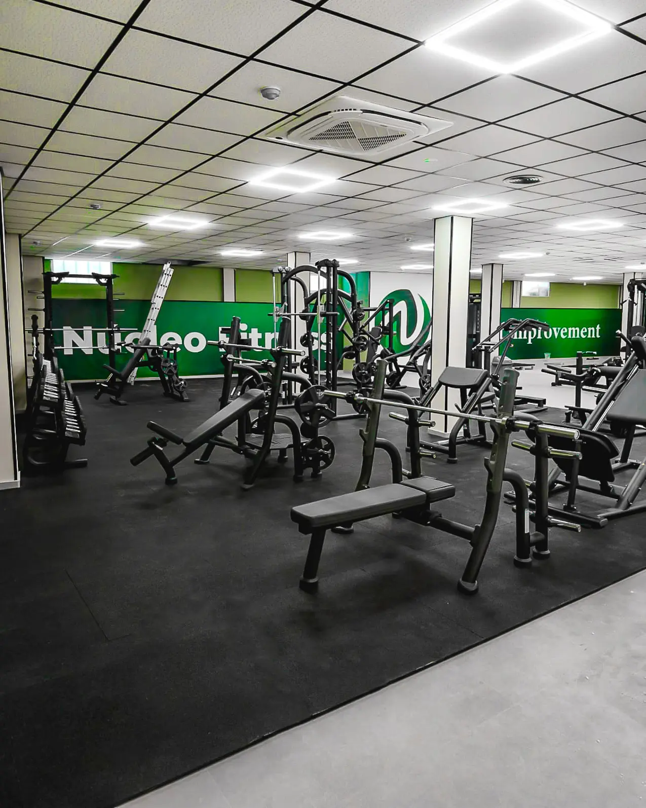 nucleo-fitness (4)