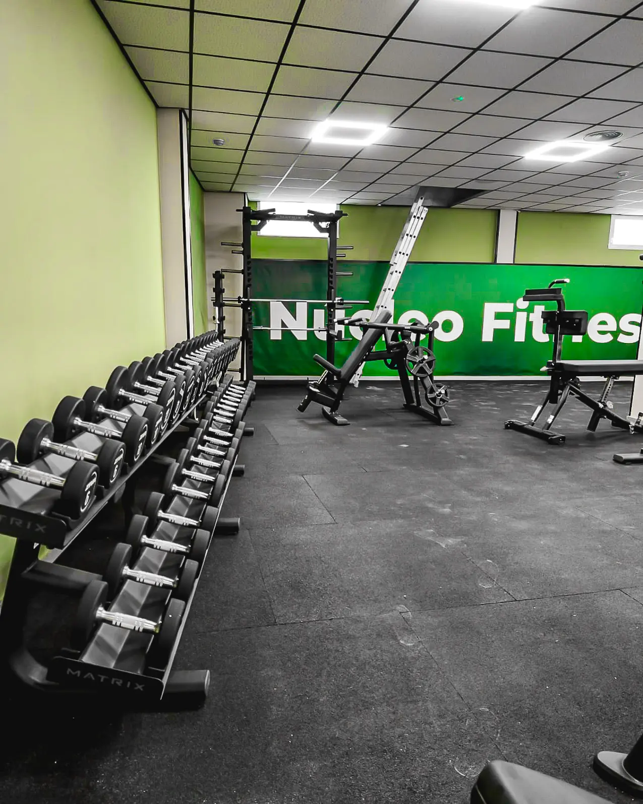 nucleo-fitness (6)